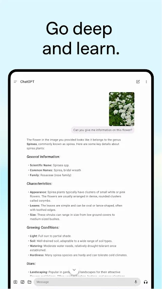 Gallery image 10 - ChatGPT